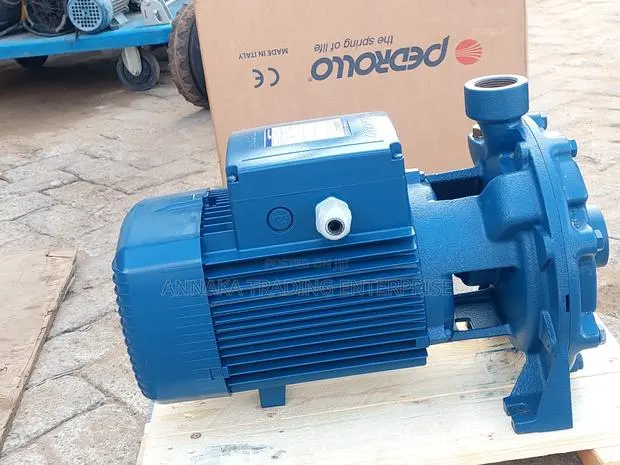 Italian Water Pump · Photo 1