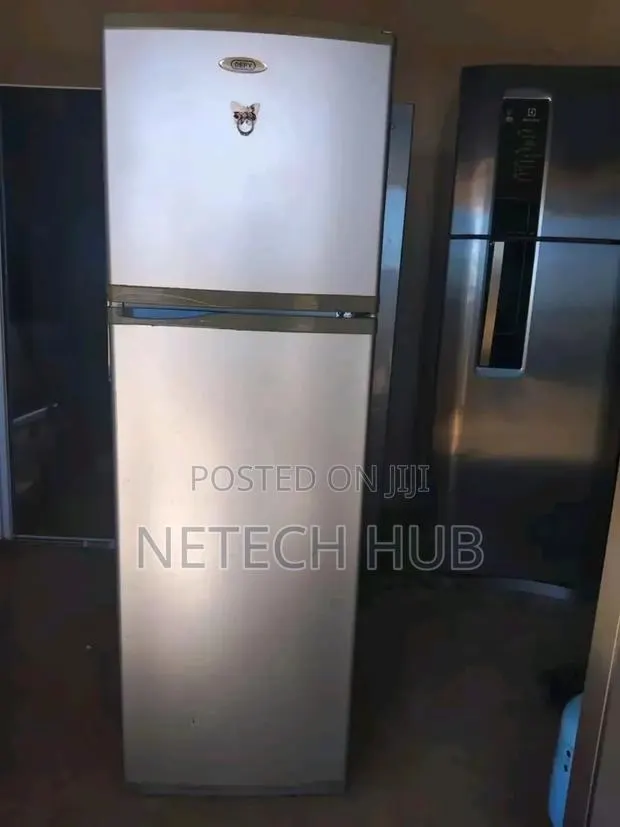 Duoble Door Fridge · Photo 1