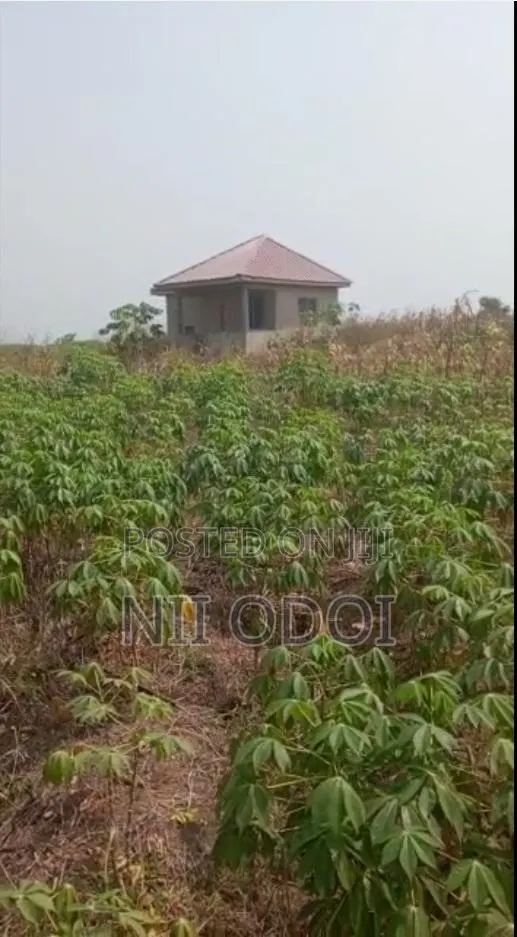 Plots for Sale at Kasoa Ahentia After Budumburam · Photo 1