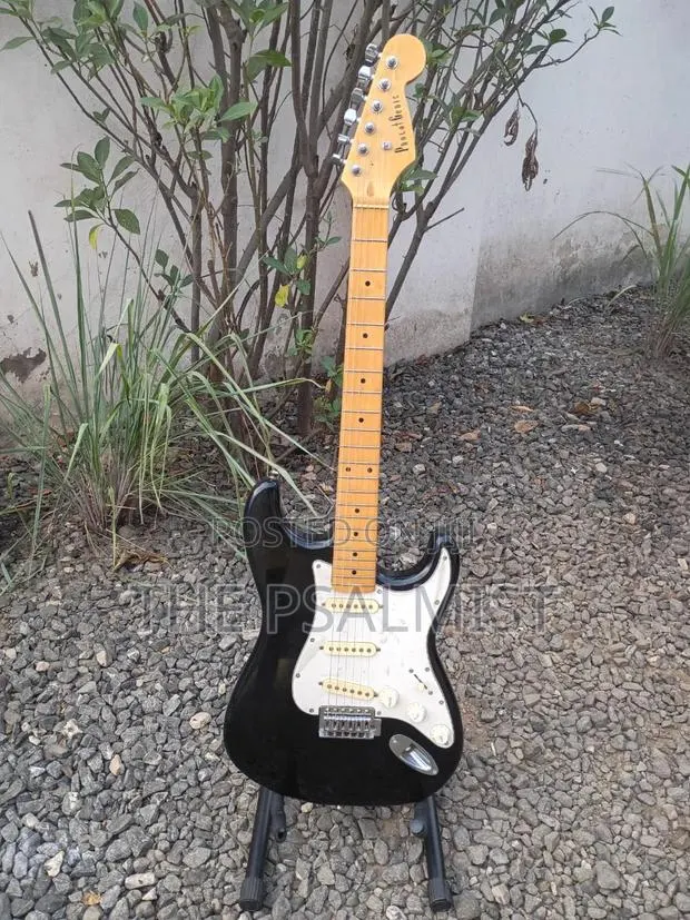PhotoGenic Stractocaster Guitar · Photo 1