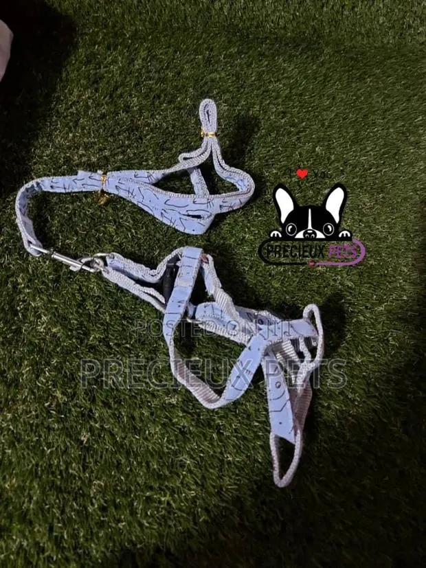 Toy Dogs Harness Serial No. 2021/0001 · Photo 1