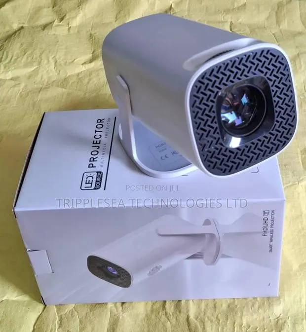 Multimedia Projector P30 · Photo 1