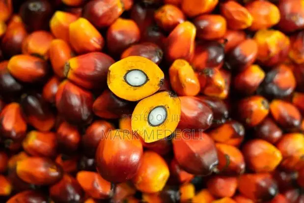 Ghanaian Crude Palm Oil (Dzomi)
For Sale · Photo 1