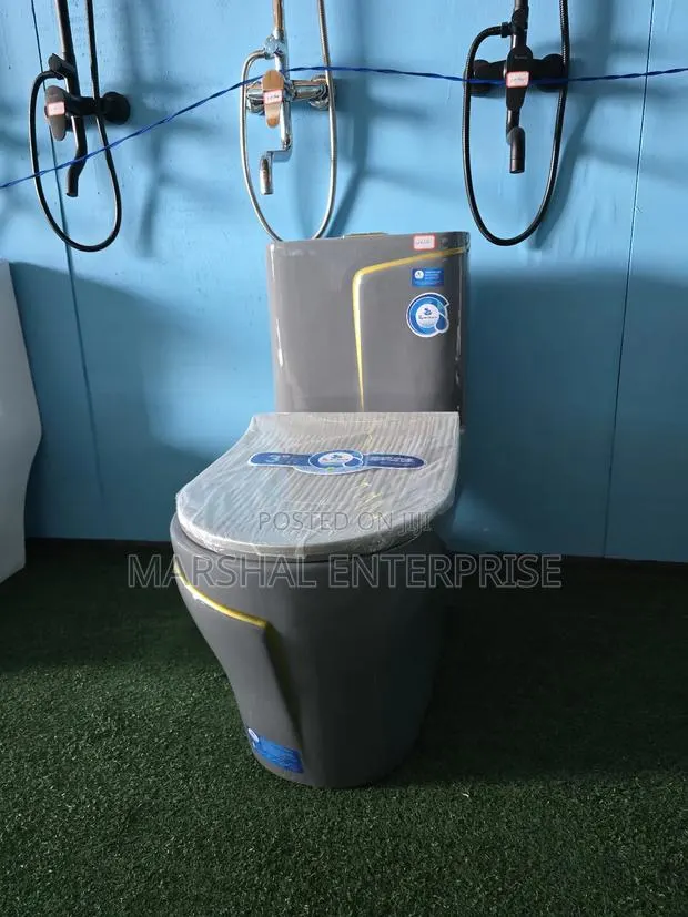 Floor Mounted Modern Wc With Hand Wash Basin · Photo 1