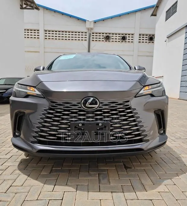 Lexus RX 2023 Gray · Photo 1