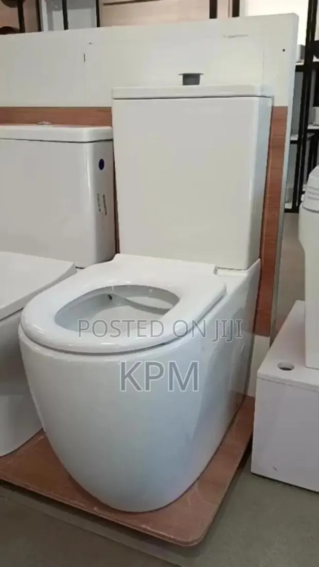 Raised 2 Piece Watercloset Wc High Level P Trap S Trap Wc Connection · Photo 1