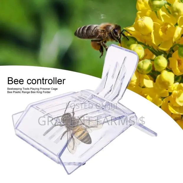 Queen Bee Catcher Cage · Photo 1