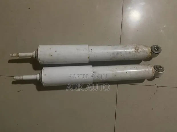 TERRAIN TAMER F150 Ford Shock Absorbers · Photo 1