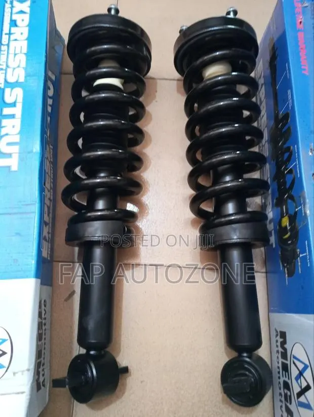Premium Quality MEGA Ford F150 Complete Strut With Spring From USA · Photo 1