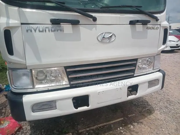 Unregistered Hyundai Truck · Photo 1