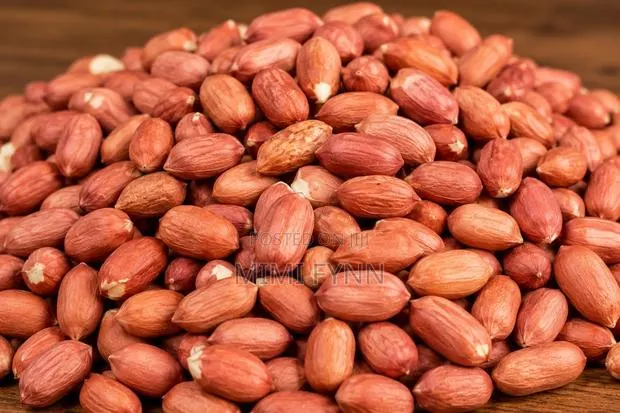 Peanut (Groundnut) · Photo 1