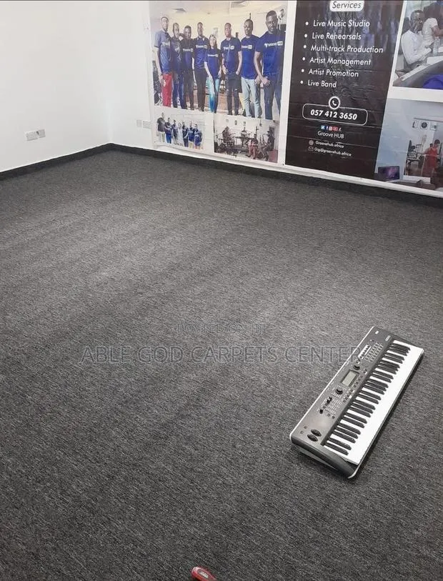 Black Ash Fluffy Carpet/Quality Room, Studio, Hotel, and Office Carpet · Photo 1