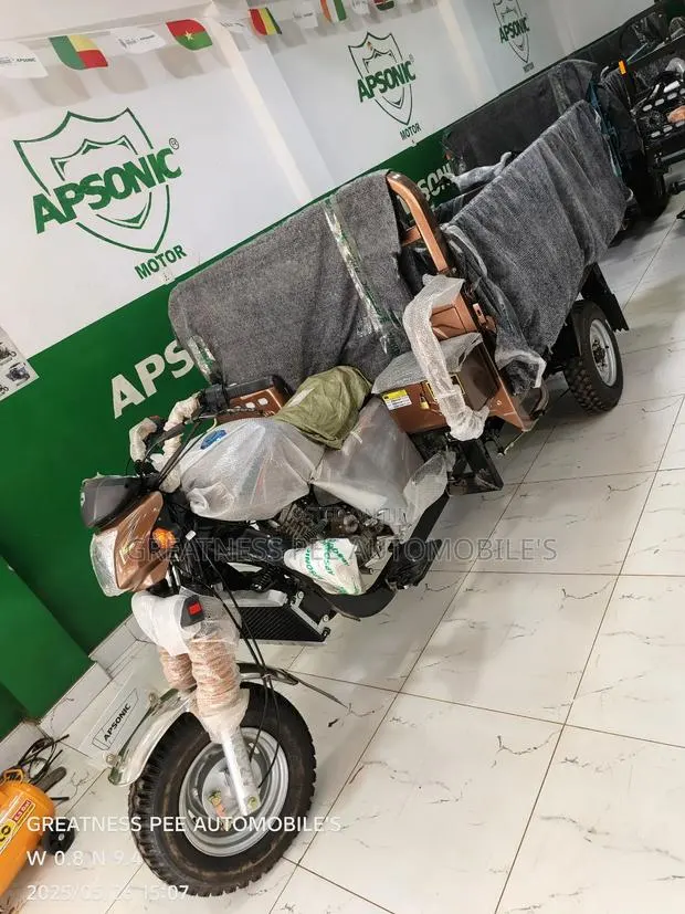 New Apsonic AP200ZH-A 2025 Brown · Photo 1