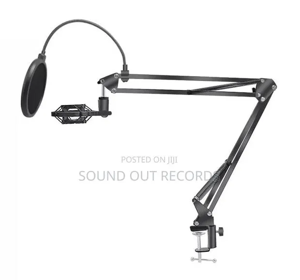 Arm Microphone Stand With Accessories · Photo 1