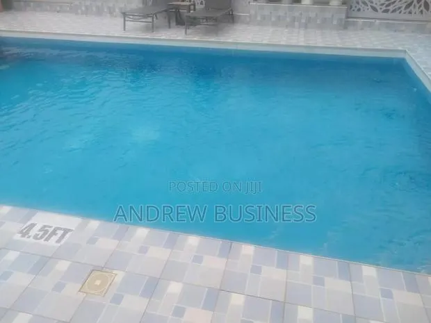 Swimming Pool Cleaning Service · Photo 1