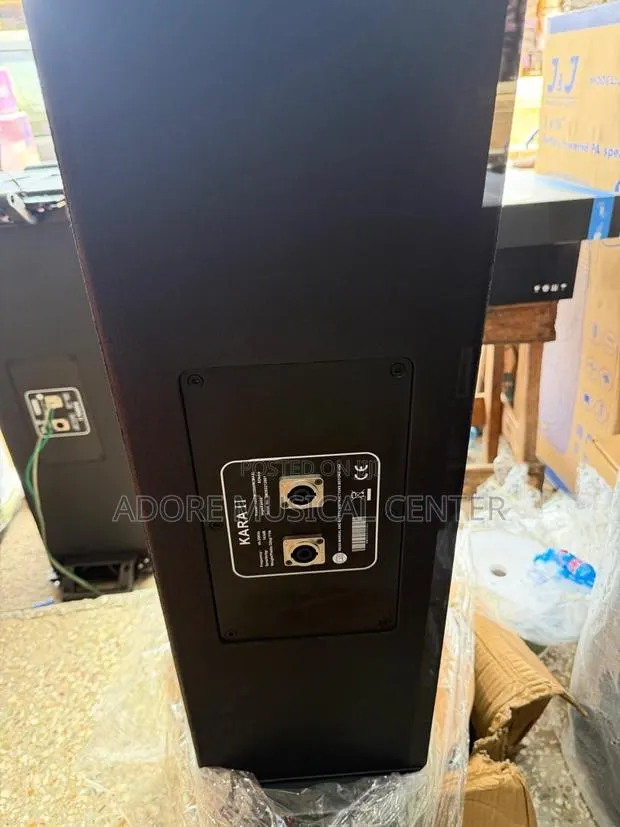 Karall 10inches All Black Line Arrays Speaer 1pair · Photo 1