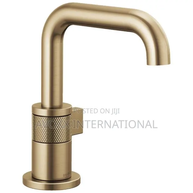 Brizo Litze Single-Handle Lavatory Faucet -D65035lfgl · Photo 1