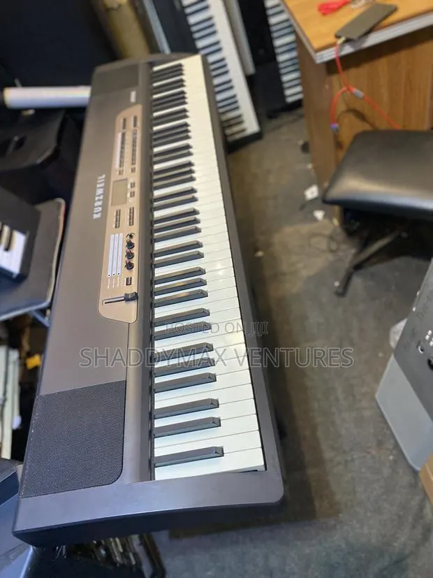 Kurzwel Sp2xs Digital Stage Piano · Photo 1