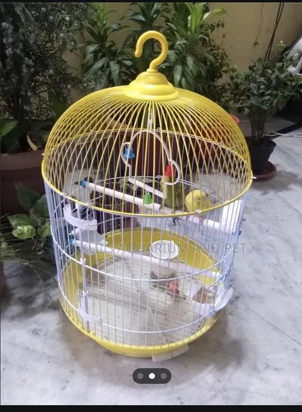 Birdcage for Vaasa Parrots · Photo 1