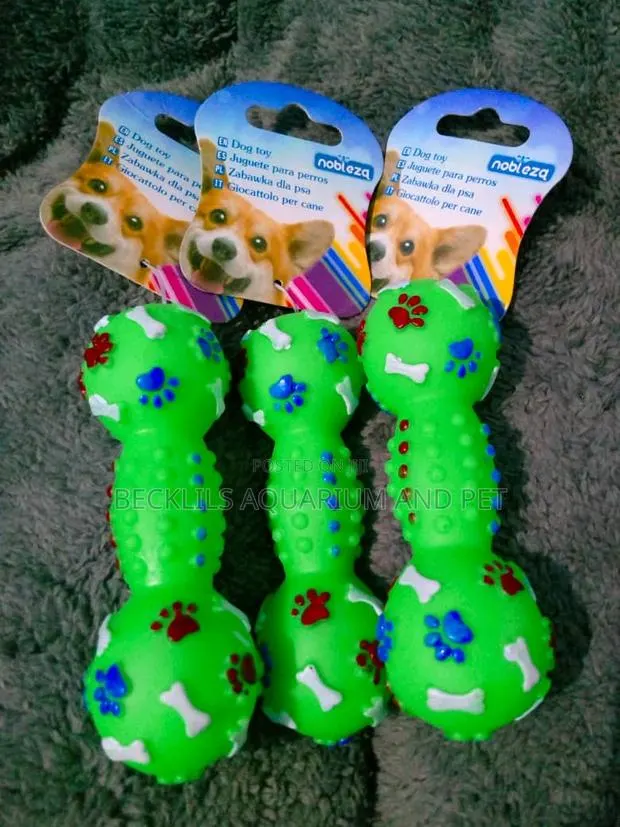 Dog Playing Toys With Music · Photo 1