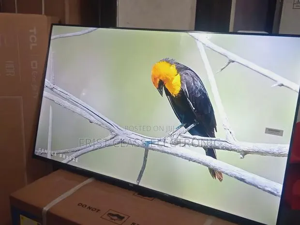 TCL 43-Inch Qled Smart Tv, Tv That Makes Gaming Feel Smoother · Photo 1