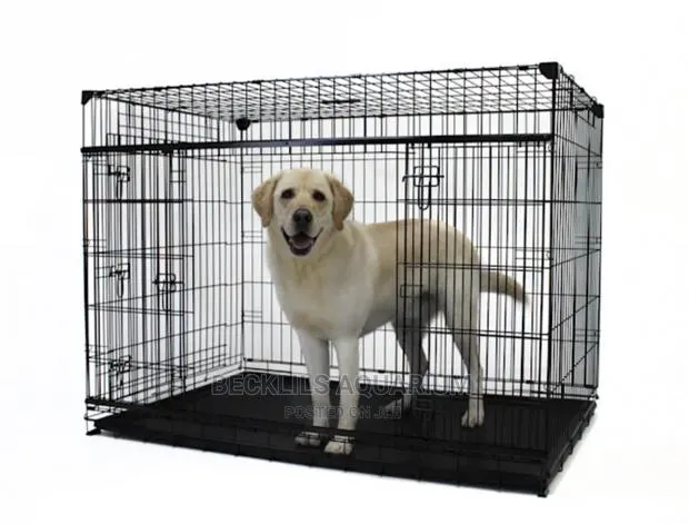 30 Inches Quality Metallic Dog Cages · Photo 1