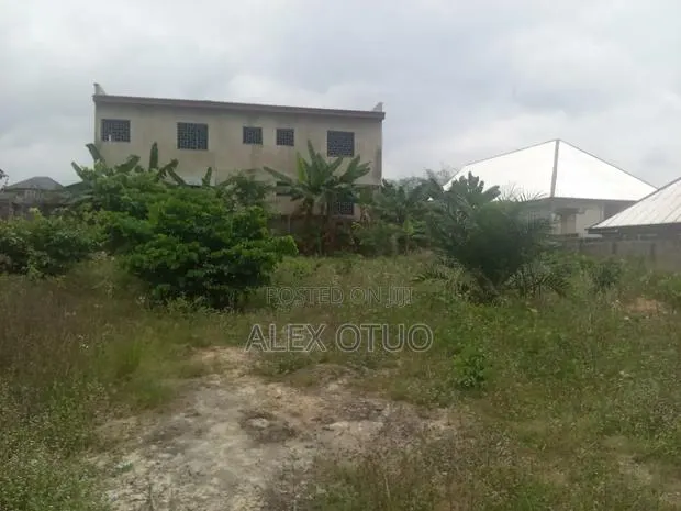 Plot of Land 100/120 Walled Nketia · Photo 1