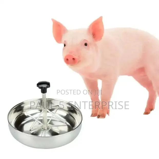 36m Piglet Feeding Bowl · Photo 1