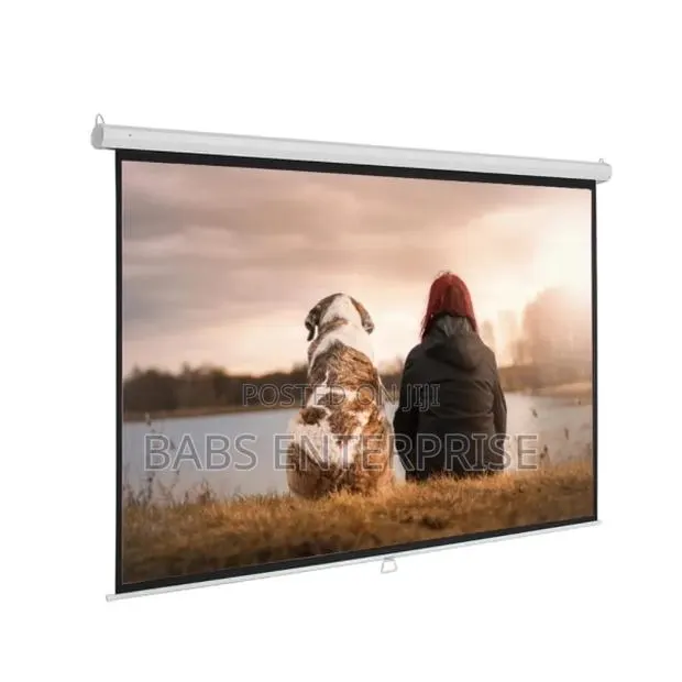 Burotika BW18-244 244cmx244cm Wall Screen · Photo 1