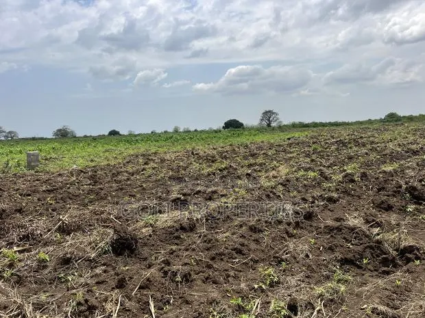 Agricultural Land at Kasunya · Photo 1
