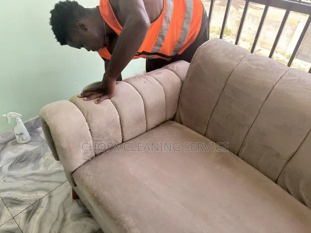 Professional Sofa Rug Cleaning Services · Photo 1