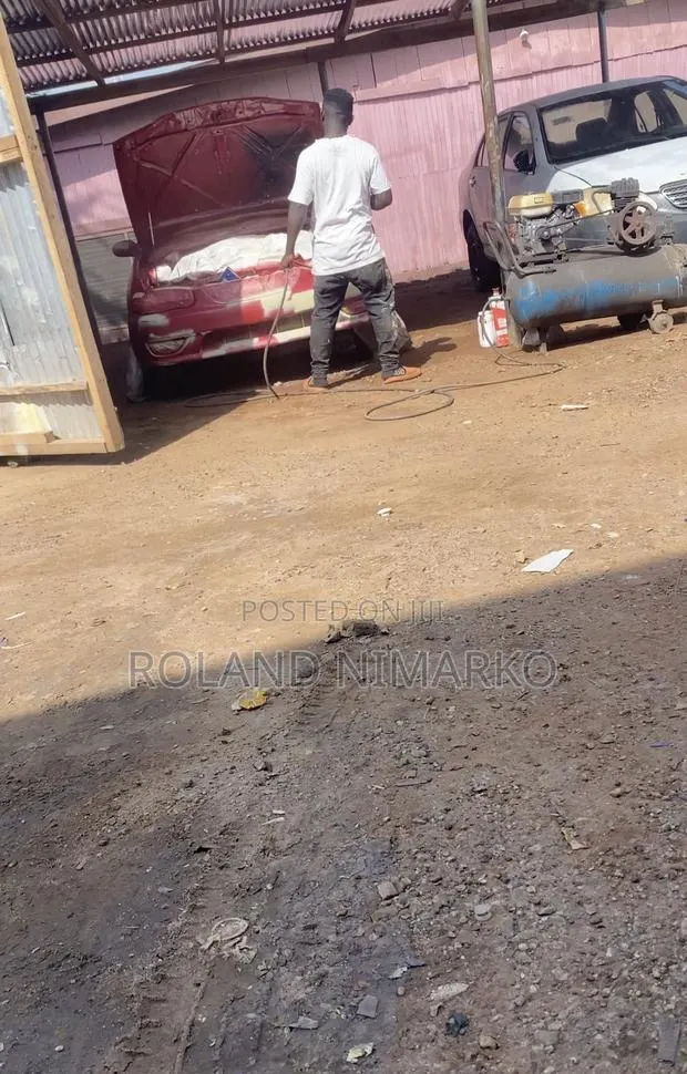 Professional Car Sprayer · Photo 1