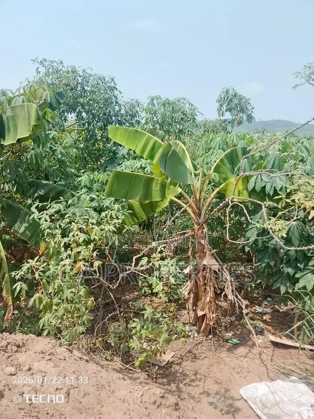 Land for Sale 6plots Oyibi · Photo 1