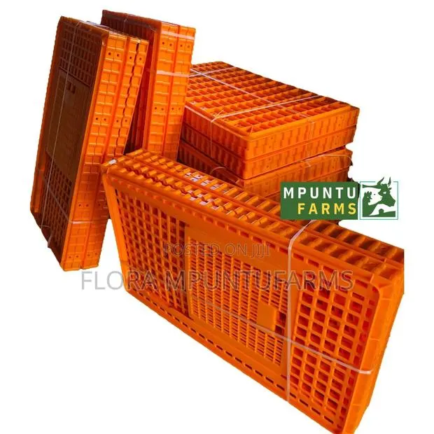 Large Transport Cages · Photo 1