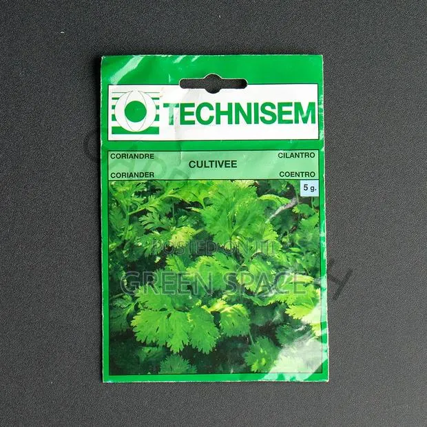 Cilantro Seeds · Photo 1