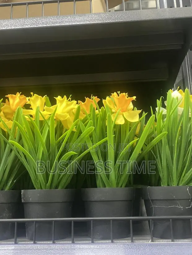 Gardening Services · Photo 1