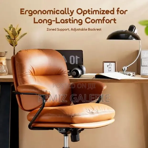 Oraimo Softnest Double-Layer Cushioning Office Chair · Photo 1