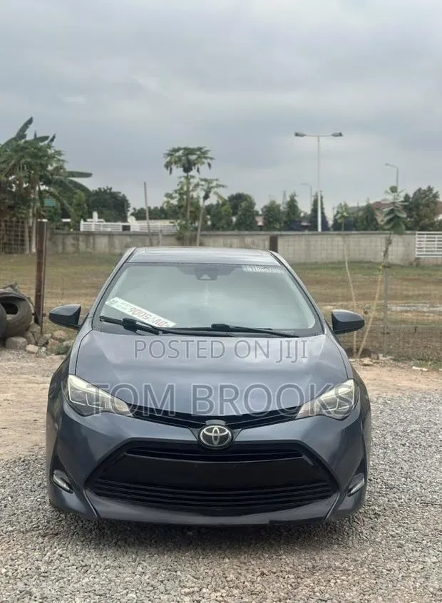 Toyota Corolla XLE (1.8L 4cyl 2A) 2019 Gray · Photo 1