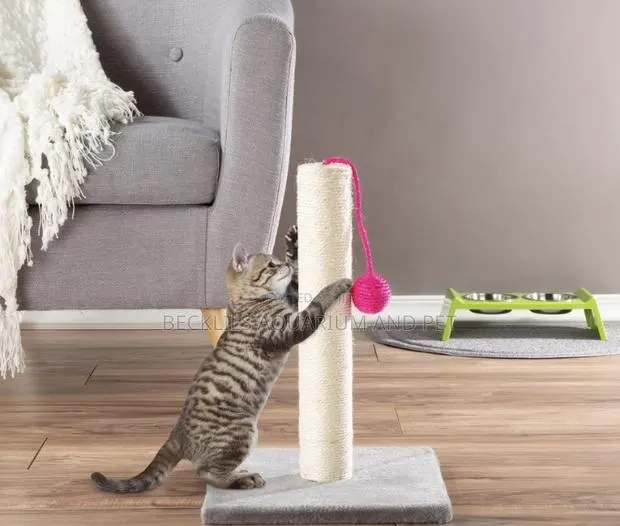 Potable Cat Scratching Post · Photo 1