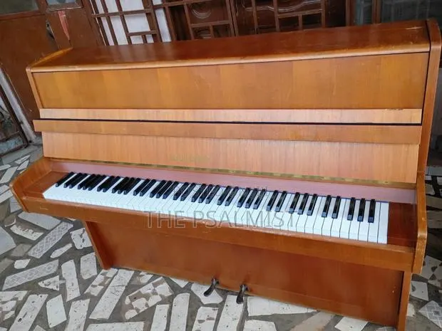 Bluthner Acoustic Piano(Brand New) · Photo 1