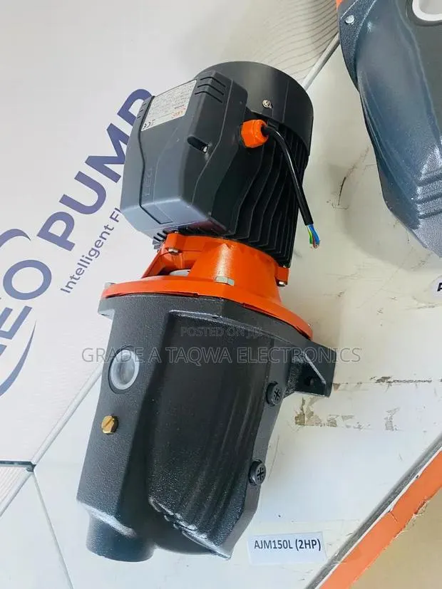 Try Massive Leo 2 Horsepower Water Pump · Photo 1