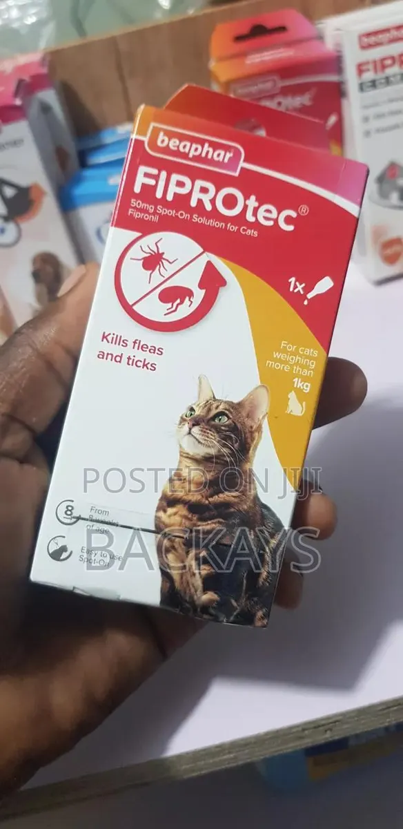 Beephar Fiprotec Flea and Tick Medication for All Cat Types · Photo 1