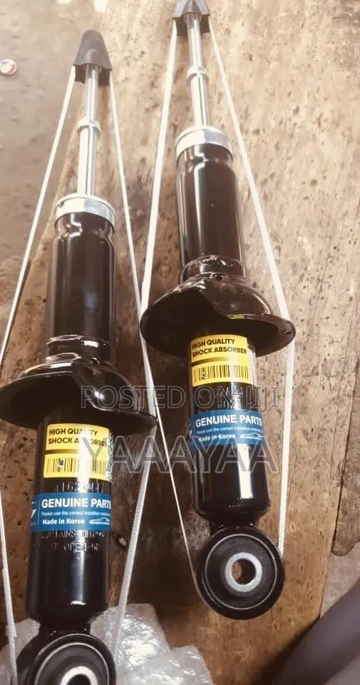 Mitsubishi Outlander Back Shocks · Photo 1