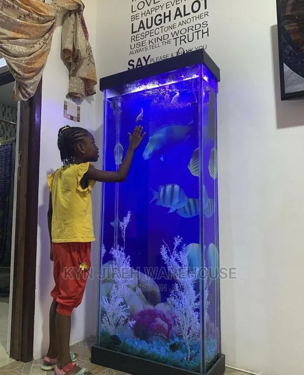 Tall Man Aquarium With 15 Fishes · Photo 1