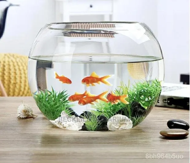 Quality Glass Fish Bowl With Fishes · Photo 1