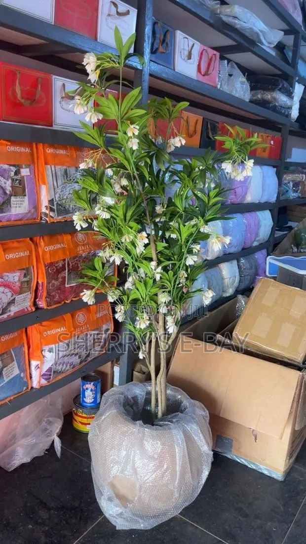 Artificial Water Ficus Plant(with Concrete Pot) · Photo 2