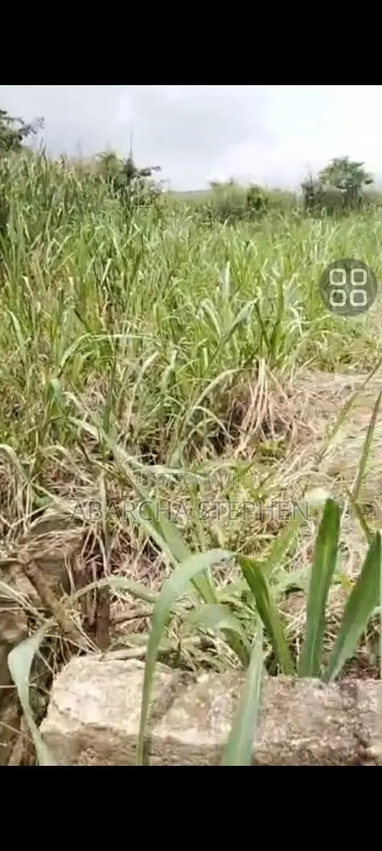 Land for Sale · Photo 1