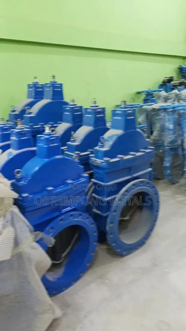 12" Water Gate Valve Pn16 Rubber Tongue · Photo 1