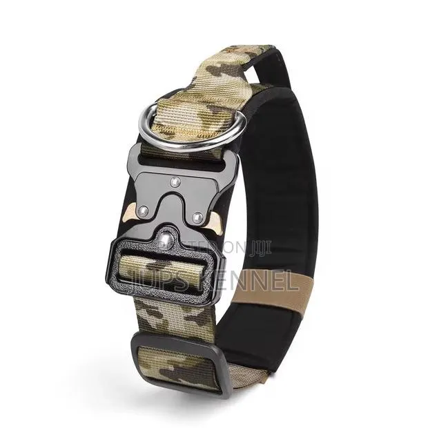 Dog Neck Collar(Belt) · Photo 1