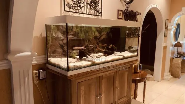 Aqua Man Aquarium With 15 Fishes · Photo 1